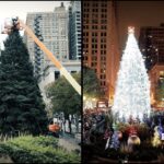 City of Chicago Christmas Tree Lighting in Millennium Park powered by Powering Chicago contractors and IBEW Local 134 electricians.
