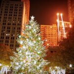 The 2025 Chicago Tree Lighting Ceremony